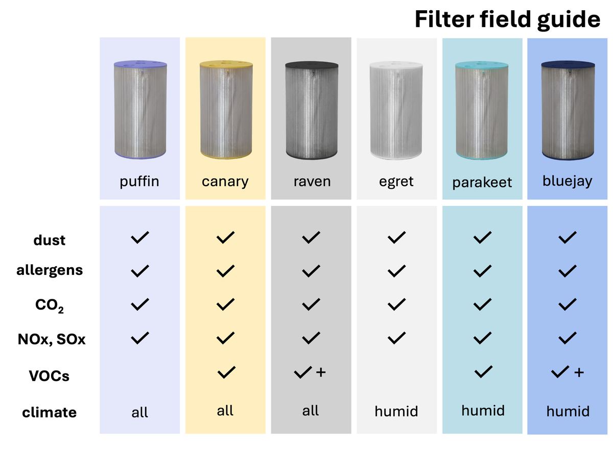 Advanced Air Filters (2-pack)
