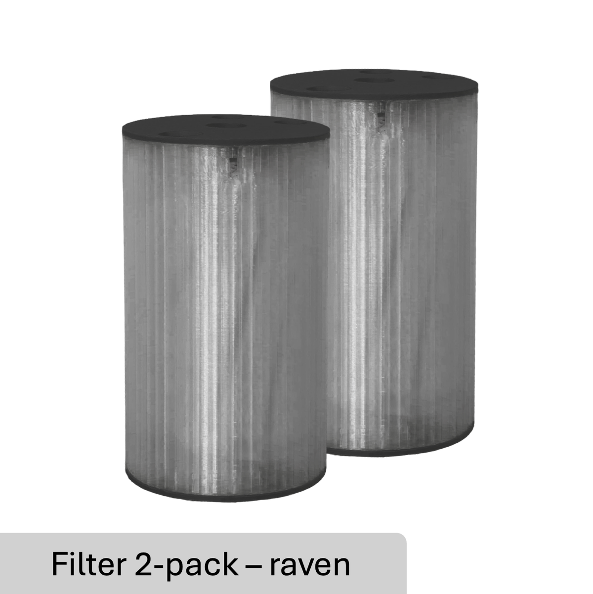 Advanced Air Filters (2-pack)